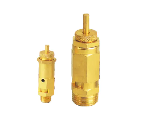 SP010 SAFETY VALVE