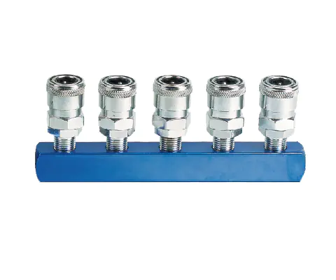 5PCS Manifold With Japan Type Quick Coupler