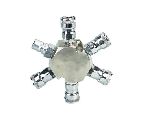 6PCS Manifold With Japan Type Quick Coupler